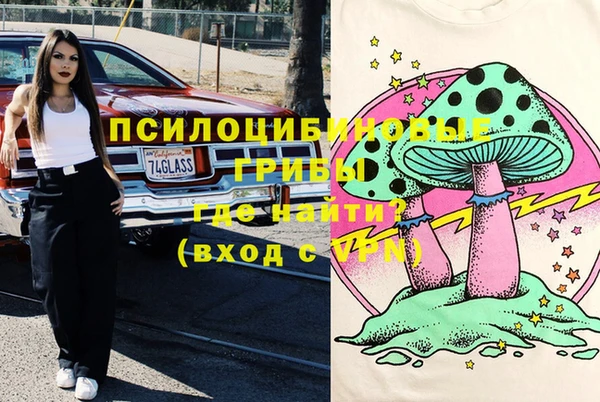 Альфа ПВП Абаза