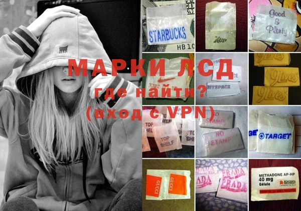 ГАЛЛЮЦИНОГЕННЫЕ ГРИБЫ Покровск