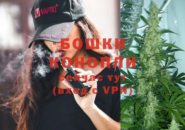 spice Абинск
