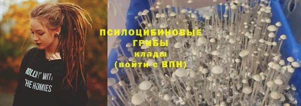 spice Абинск