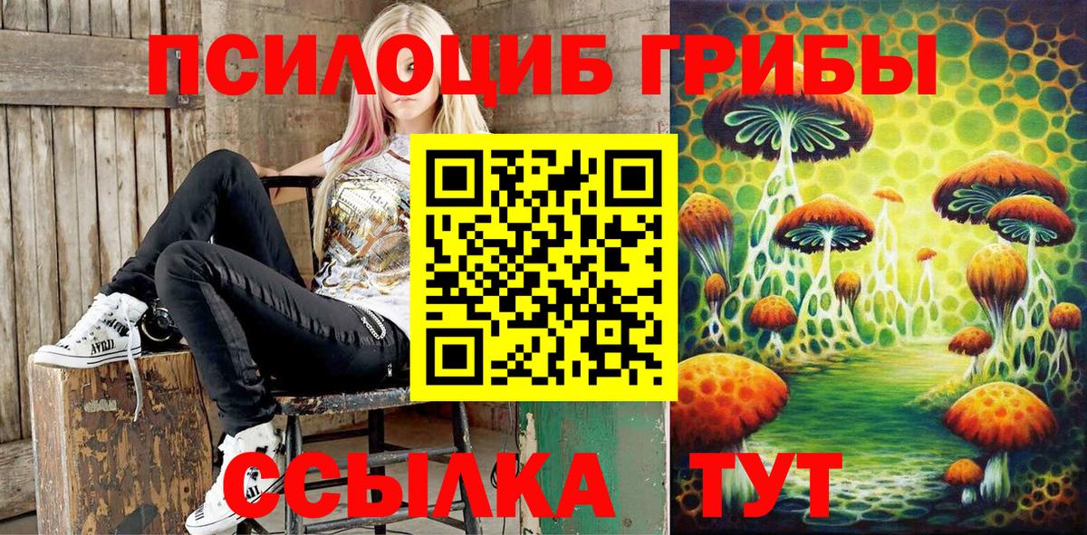 Дивногорск  Галлюциногенные грибы Psilocybine cubensis  Вход с VPN 