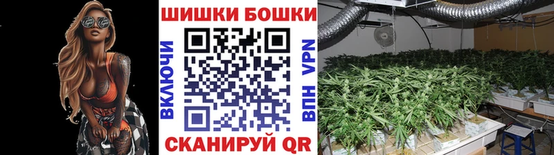 Марихуана сатива  где можно купить   Дивногорск 